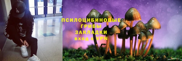 СК Богородск