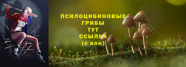 ALPHA PVP Дубна