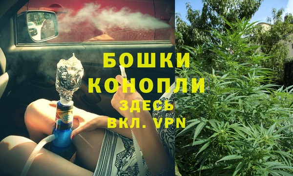 СК Богородск