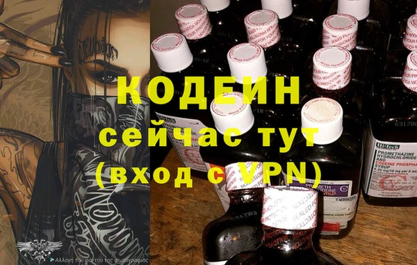 СК Богородск