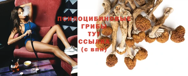 тгк Богданович