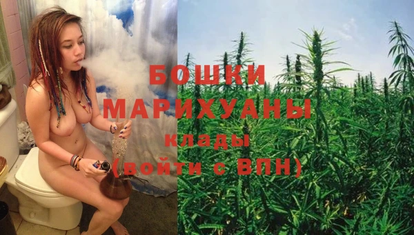 тгк Богданович