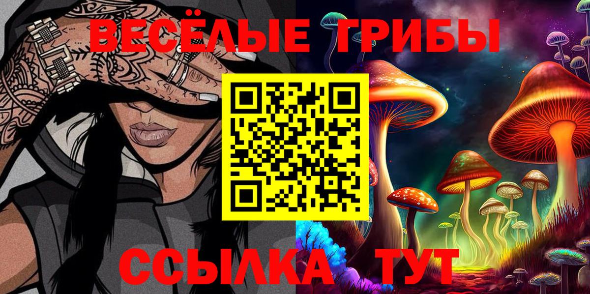 Наро-Фоминск  Галлюциногенные грибы Magic Shrooms  Вход с VPN 
